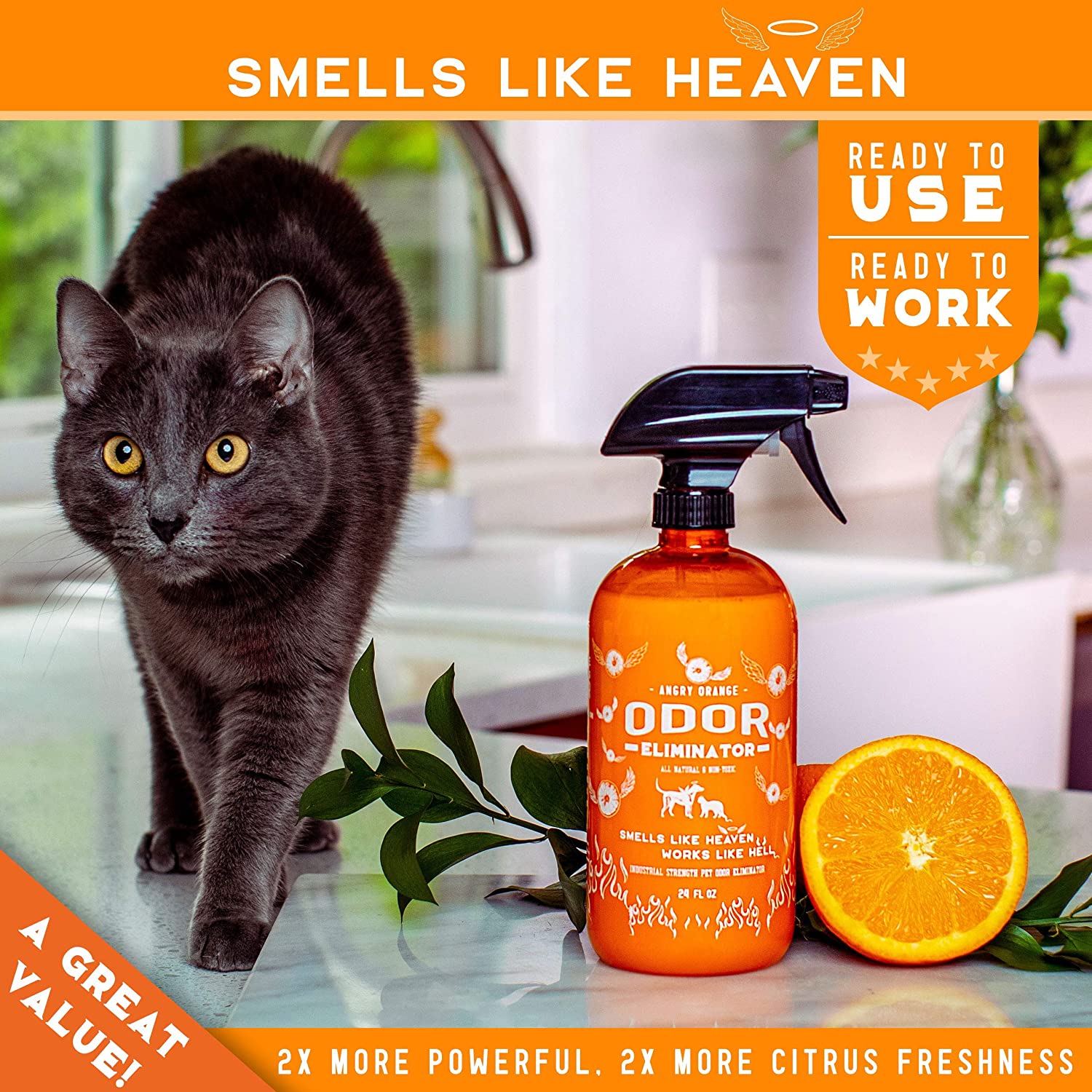ANGRY ORANGE Ready-to-Use Citrus Pet Odor Eliminator Pet ...