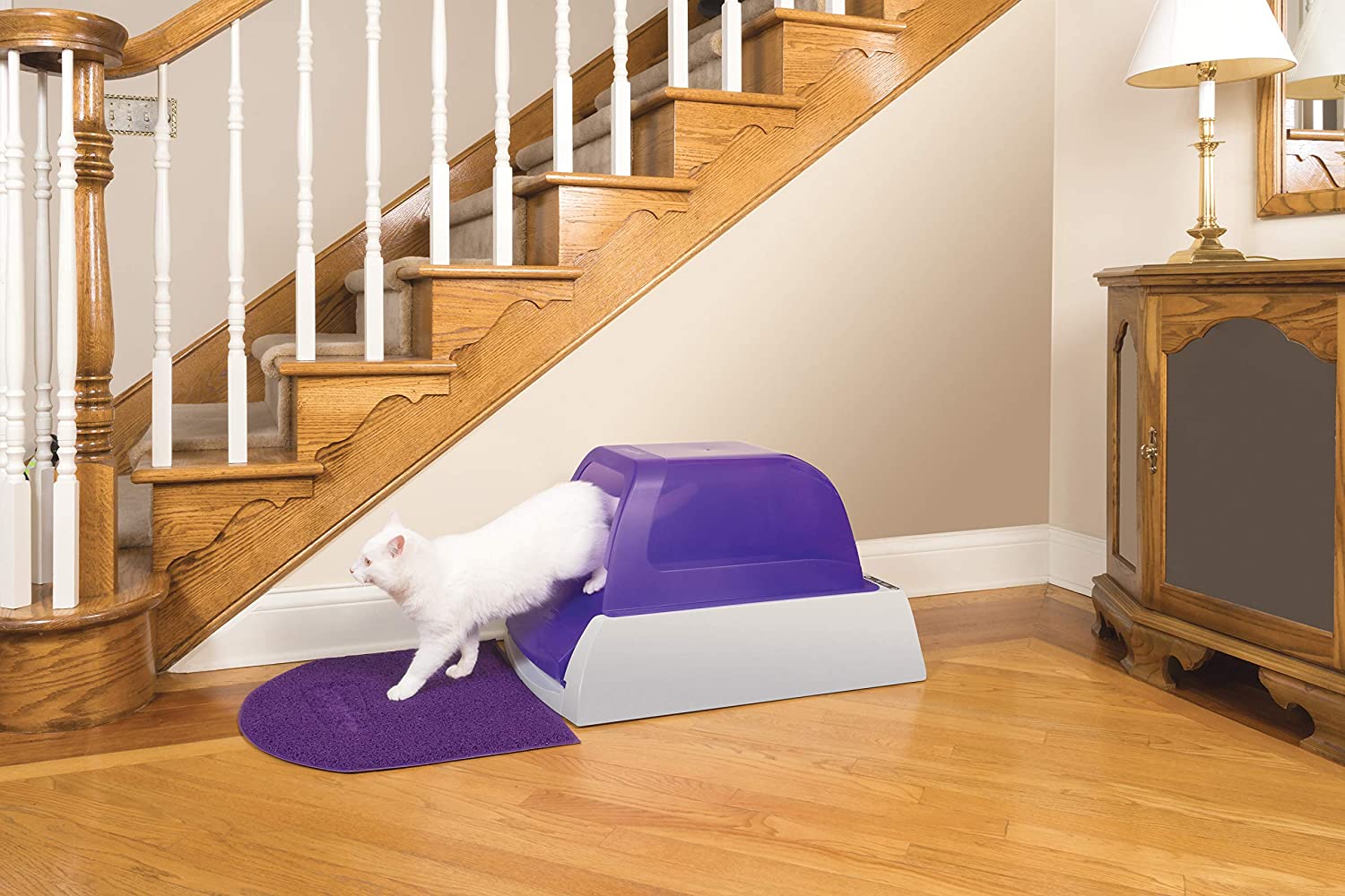 scoop free litter box