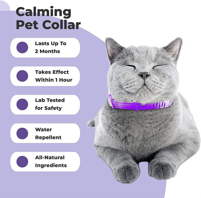 PETPLUS Cat Calming Collar for Cats Purrfect to Reduce Your Pet’s
