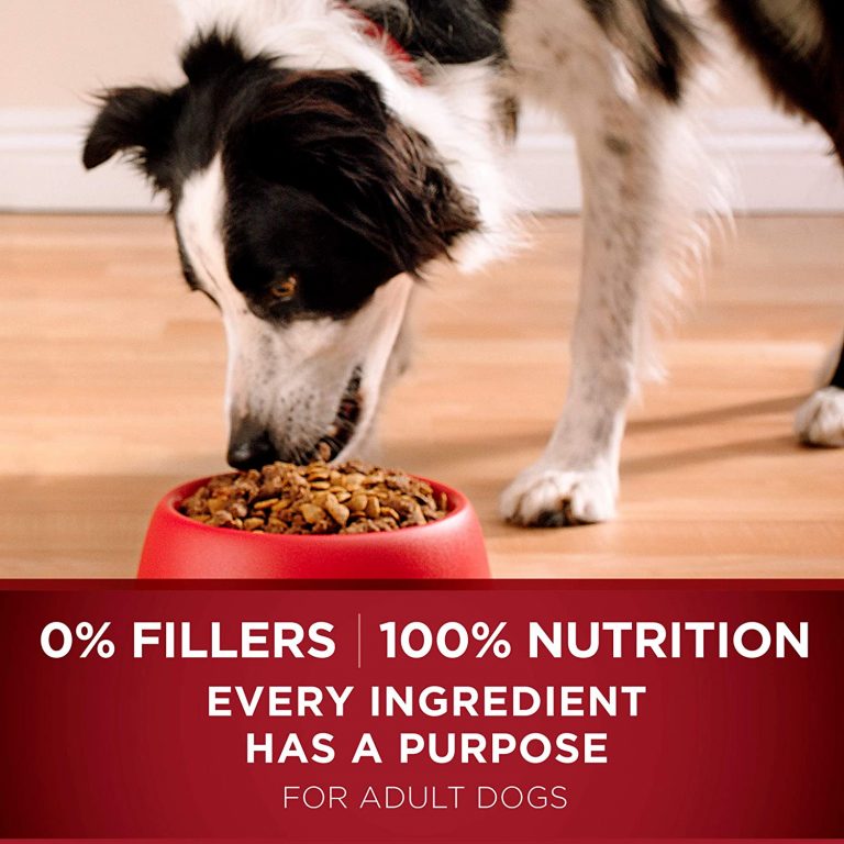 Purina ONE SmartBlend True Instinct Natural Adult Dry Dog Food | qualitypetproductsonline.com