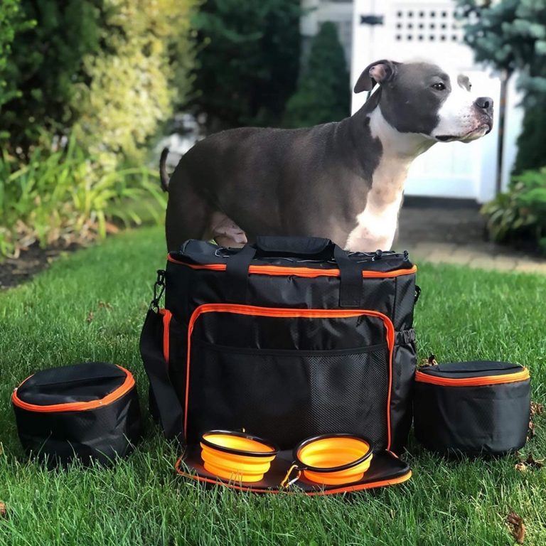 dog travel bag for food